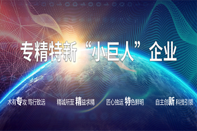 泓济动态丨泓济环保获评专精特新“小巨人”企业<